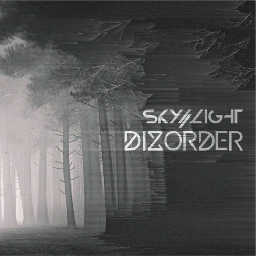 Dizorder (FRA) : SKY​/​/​LIGHT